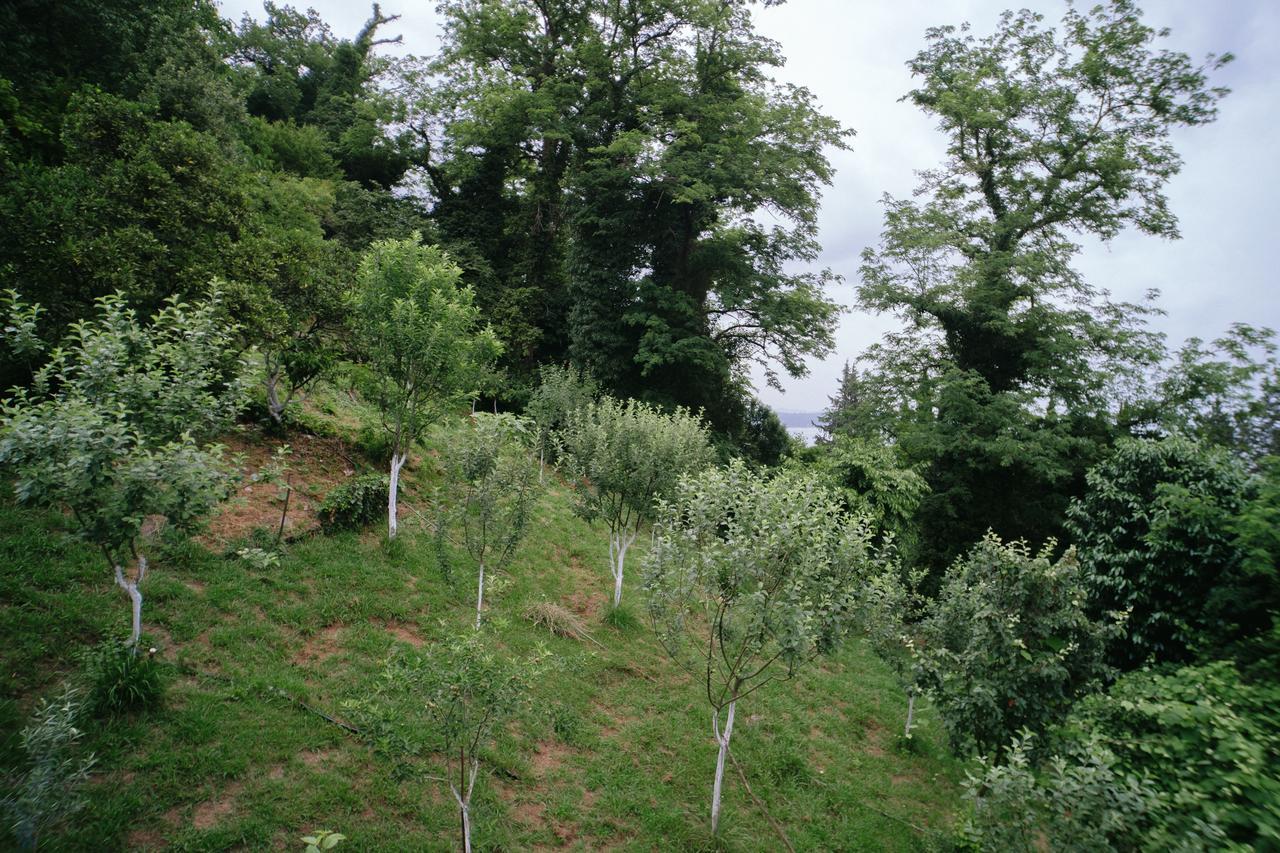 Guest House Bagrat New Athos ภายนอก รูปภาพ
